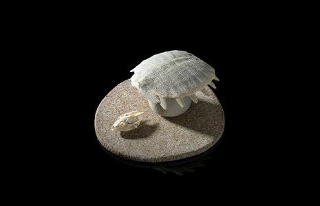 20210526_07 20210526_07